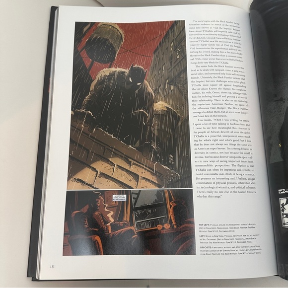 Marvels Black Panther: The Illustrated History of a King: The Complete - Picture 4 of 6